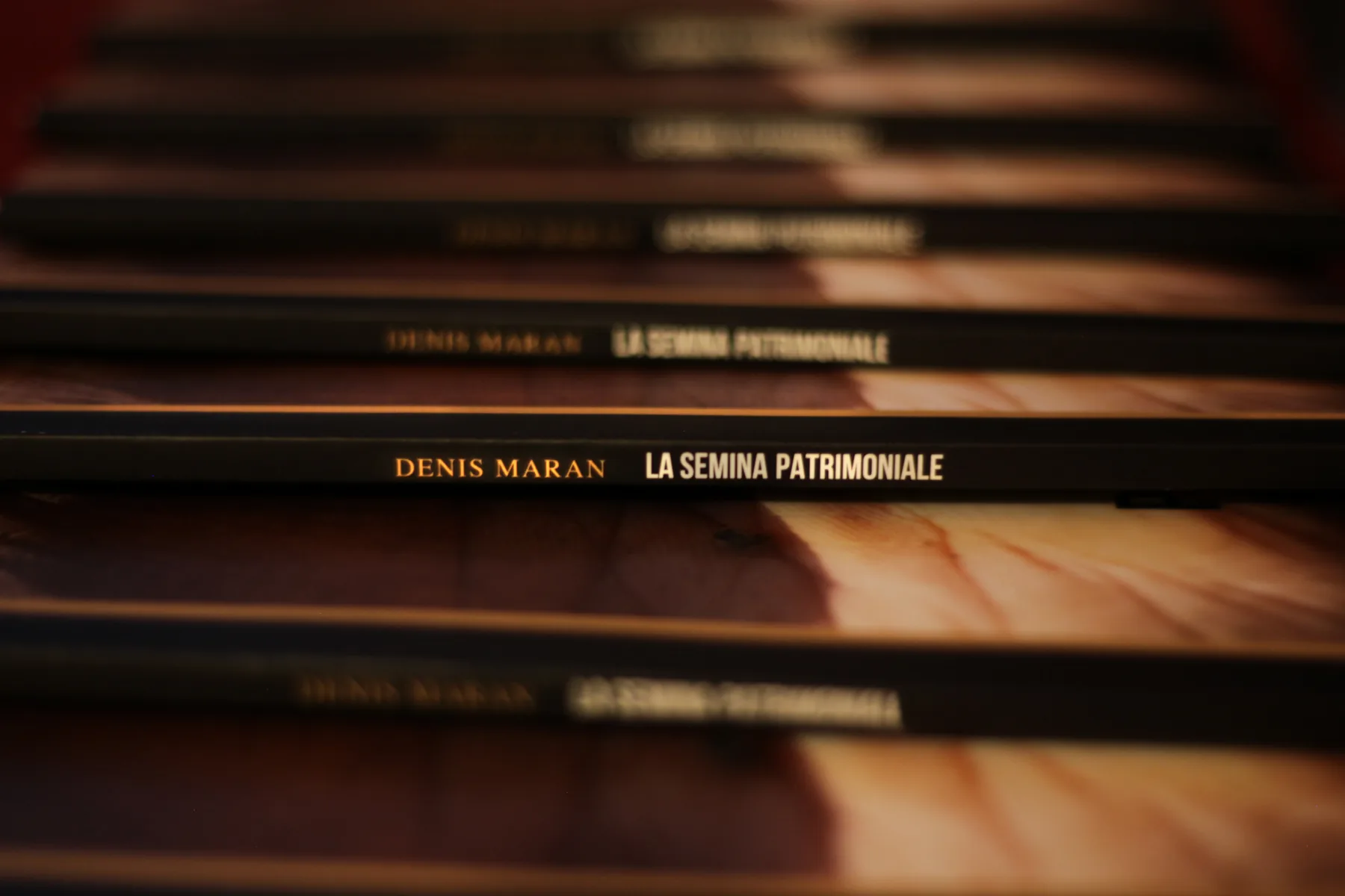 Dettaglio del libro La Semina Patrimoniale